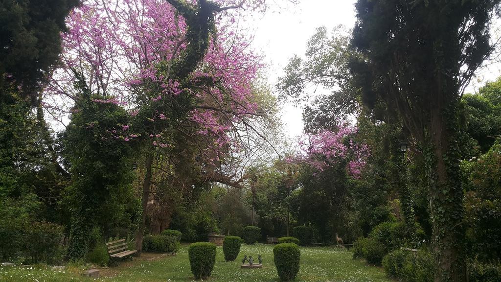The Villa Averoff Kirinthos Phòng bức ảnh